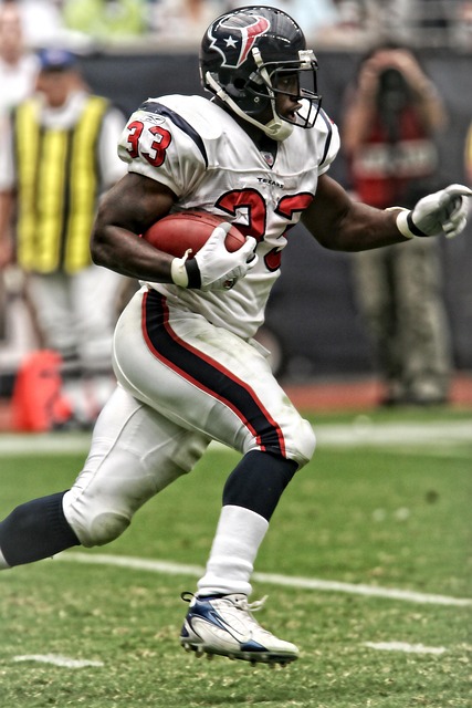 萊斯能夠在 萊斯能夠在