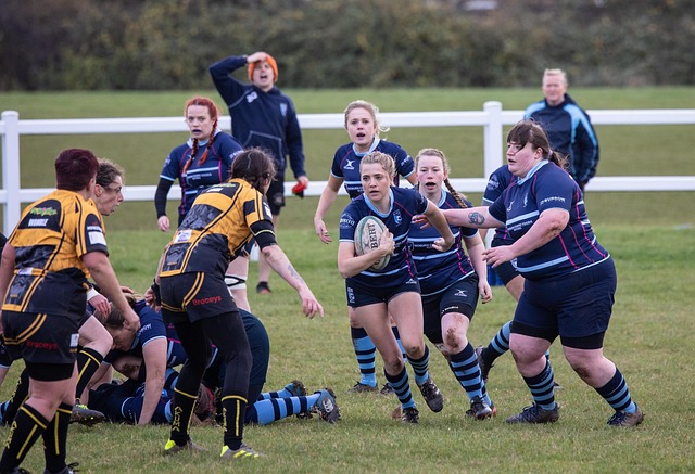 他們在比賽 他們在比賽